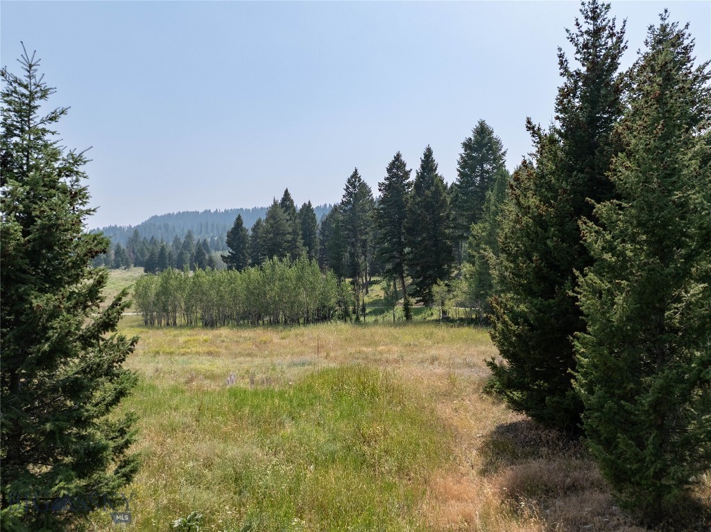 116 Elk Rdg Road Cameron, MT 59720 - Photo 61 of 79 Gallery Image 61
