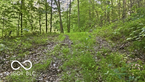7746 North Tunnel Road Unionville, IN 47468 - Photo 13 of 15