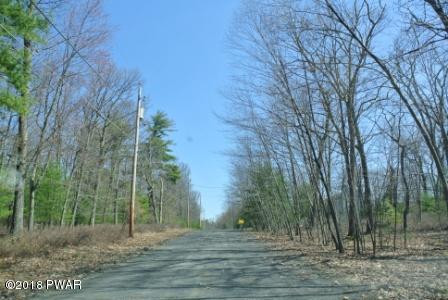 Pitch Pine Road Dingmans Ferry, PA 18328 - Photo 4 of 4