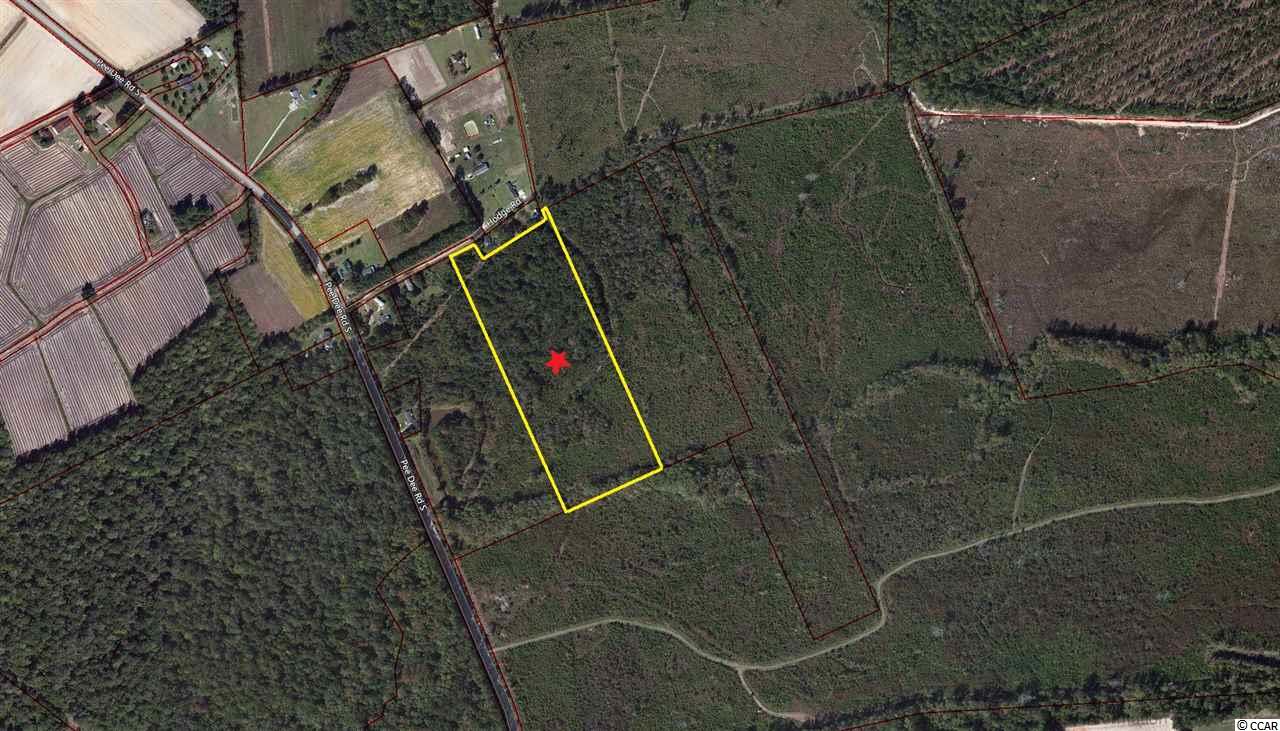 Tract B Hodge Road Galivants Ferry, SC 29544 - Photo 1 of 6 Gallery Image 1