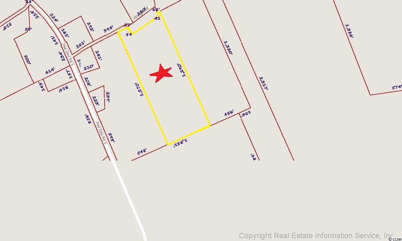 Tract B Hodge Road Galivants Ferry, SC 29544 - Photo 2 of 6 Gallery Image 2