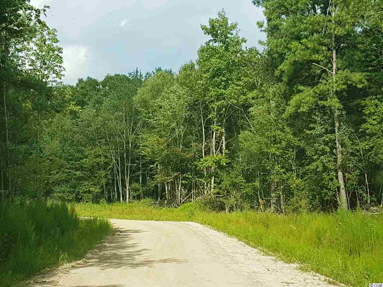 Tract B Hodge Road Galivants Ferry, SC 29544 - Photo 4 of 6 Gallery Image 4