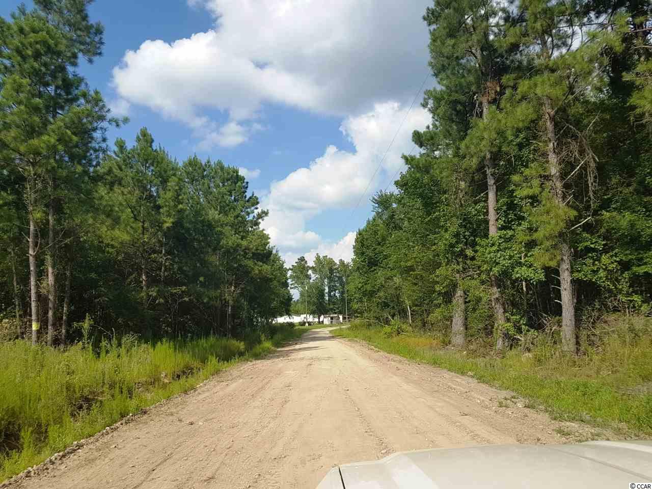 Tract B Hodge Road Galivants Ferry, SC 29544 - Photo 5 of 6 Gallery Image 5