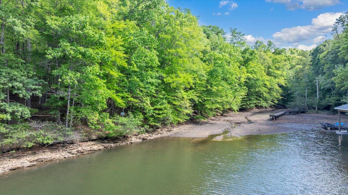 0 Somerset Cove Road Union Hall, VA 24176 - Photo 18 of 34 a view of a lake view with a garden