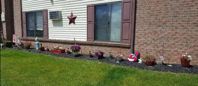 a view of a back yard of the house