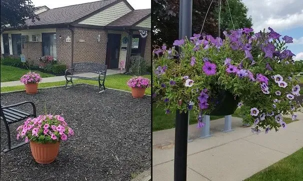 a front view of a house