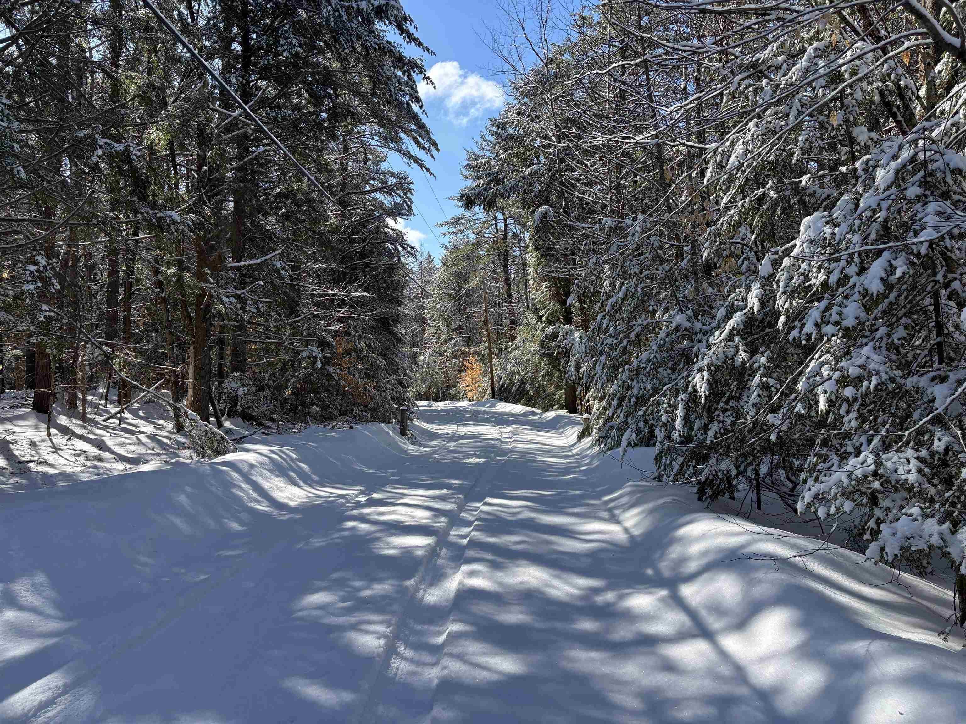 362 Granite Road Effingham, NH 03882 - Photo 38 of 38