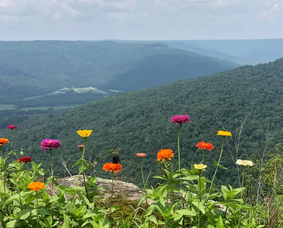 $1,400,000 | 985 Sunset Circle, Jasper, TN 37347