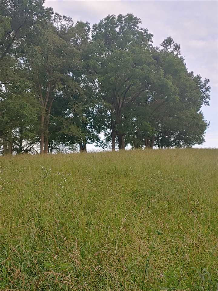 774 Needmore-Cordova Road Berry, KY 41003 - Photo 12 of 20 Gallery Image 12