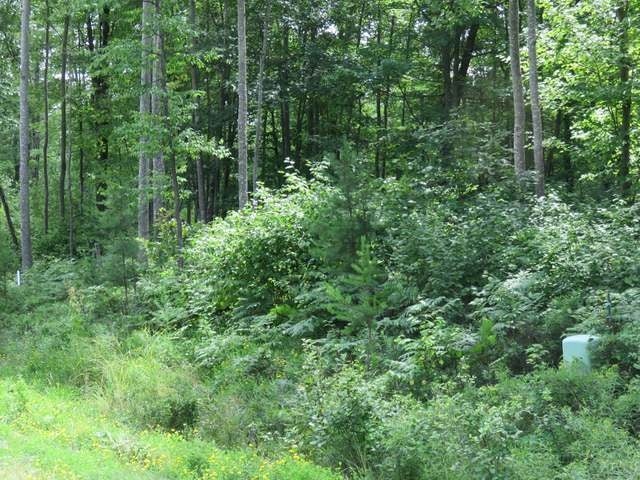 2.4-acre Pfeifer Road Tomahawk, WI 54487 - Photo 11 of 14 Gallery Image 11