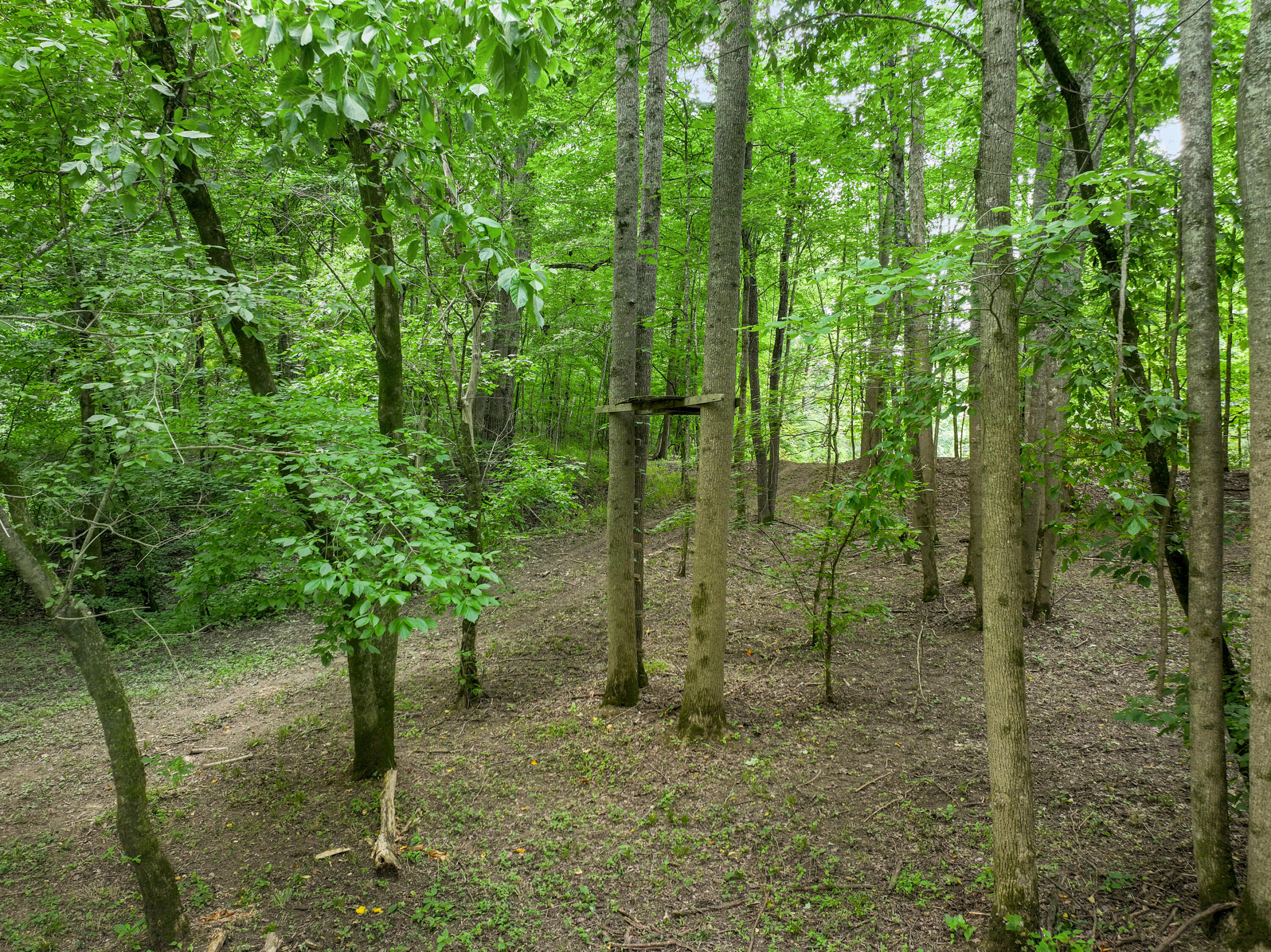 231 Fintville Road Versailles, KY 40383 - Photo 22 of 34 DJI_20260630071158_0625_D