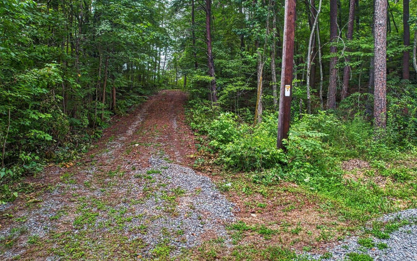 Lot 3 Raleigh Ridge Drive Blue Ridge, GA 30513 - Photo 3 of 4 Additional View