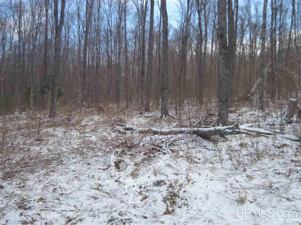 3475 Rd Iron River Iron River, MI 49935 - Photo 8 of 15