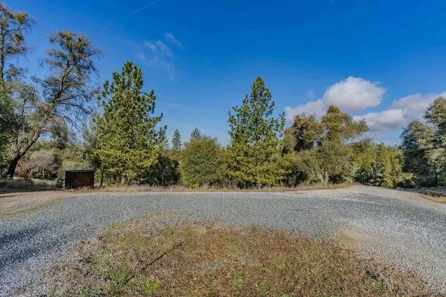 a view of a tree with a yard