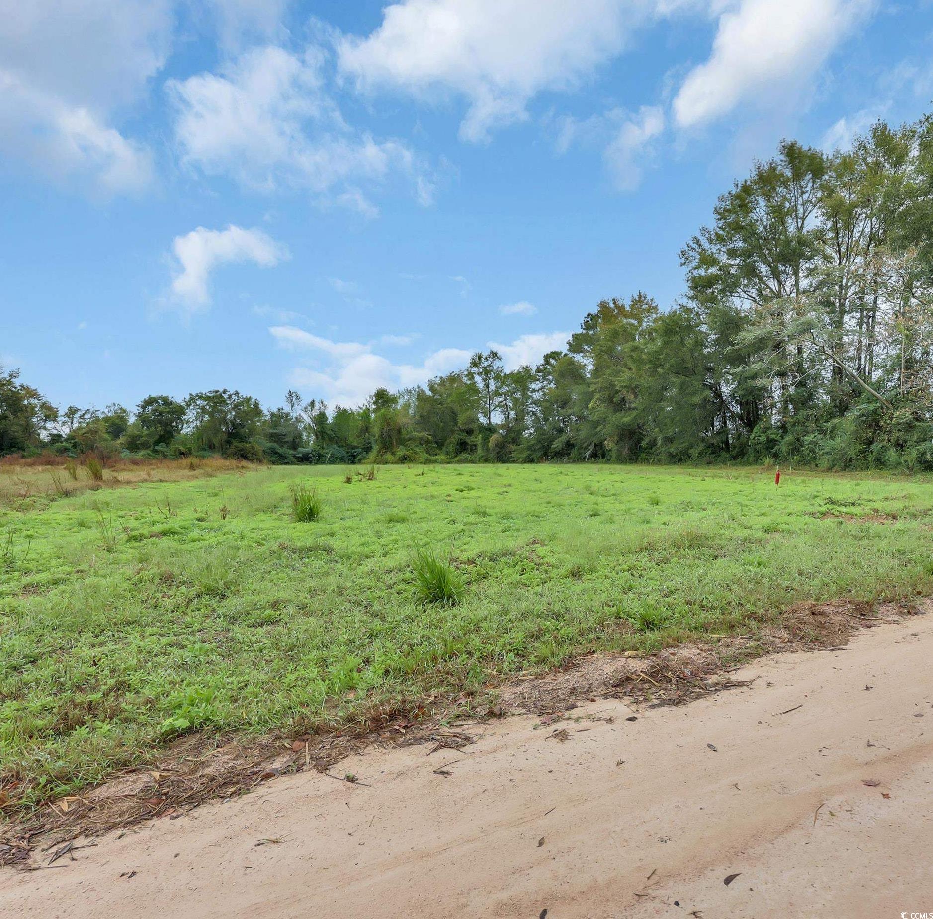 Tbd Willow Grove Drive Loris, SC 29569 - Photo 8 of 34
