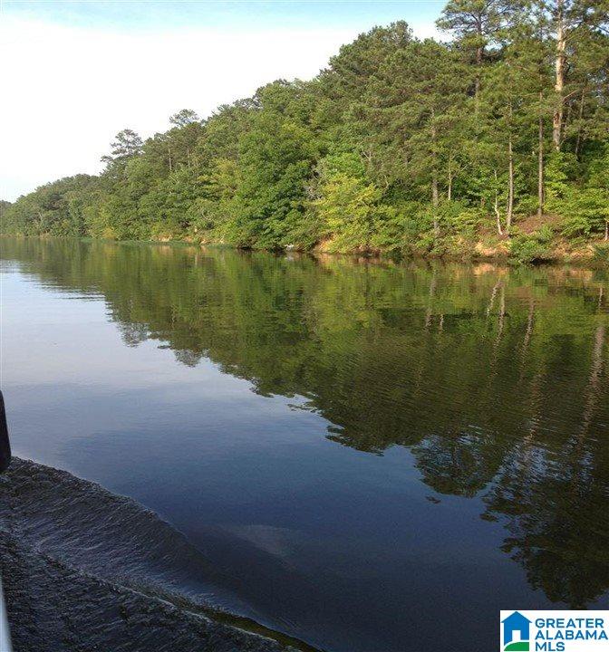 Stillwaters Trail Sylacauga, AL 35151 - Photo 21 of 30