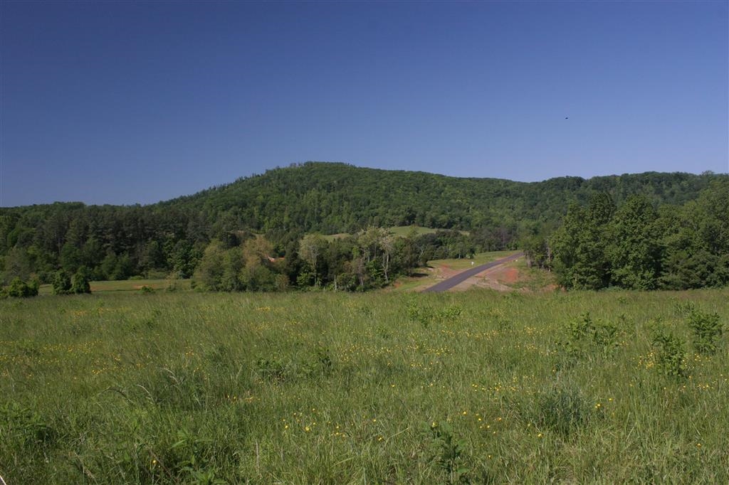 0 Ambrose Commons Drive Charlottesville, VA 22903 - Photo 4 of 6 a view of a field of grass and mountain view