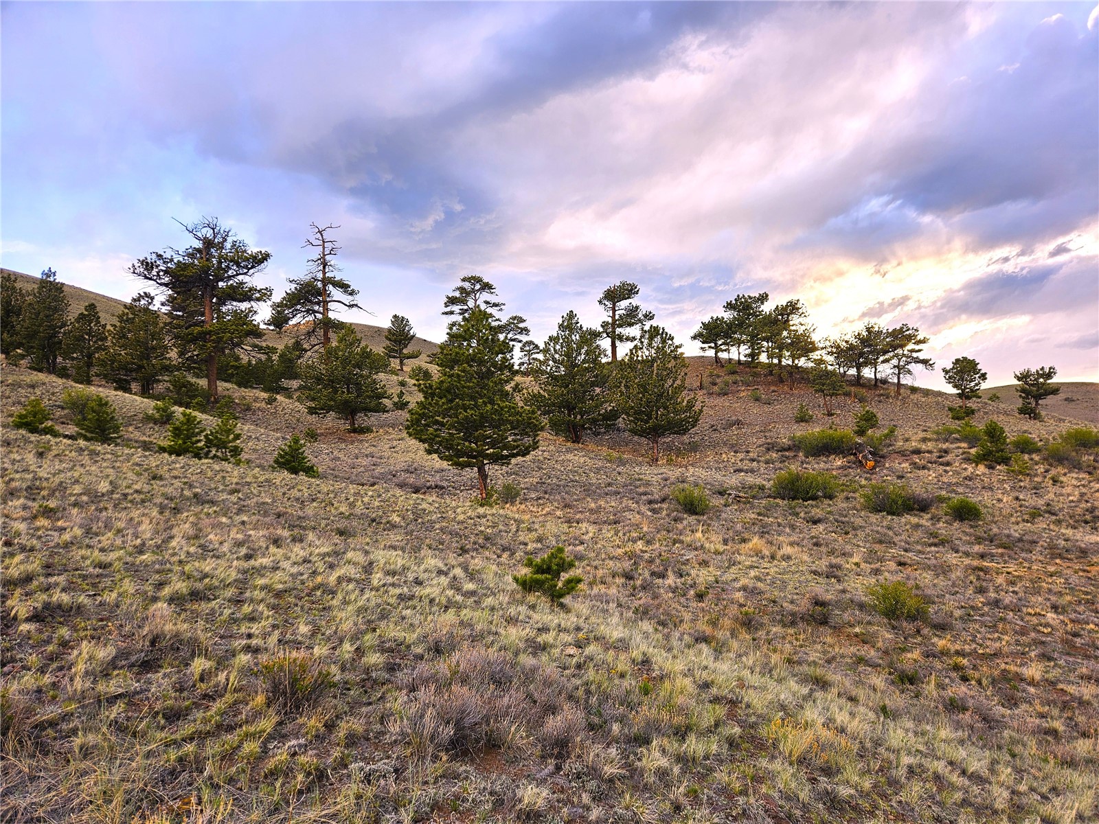 Pcs#25427 Yuma Road Hartsel, CO 80449 - Photo 7 of 29