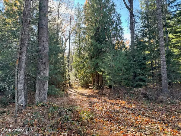 $425,000 | Nna Selkirk Road, Sandpoint, ID 83864