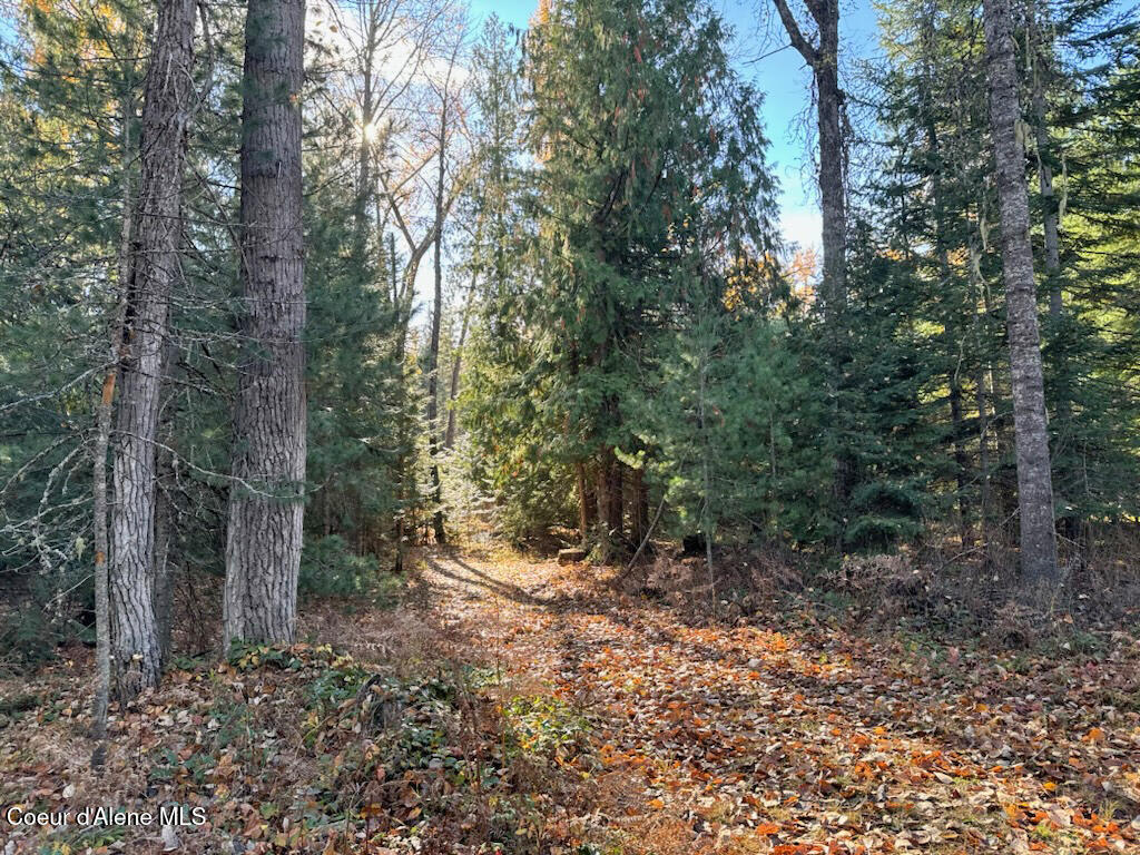 Nna Selkirk Road Sandpoint, ID 83864 - Photo 12 of 21 North of Sandpoint