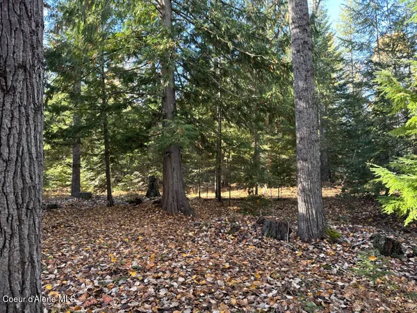 $425,000 | Nna Selkirk Road, Sandpoint, ID 83864