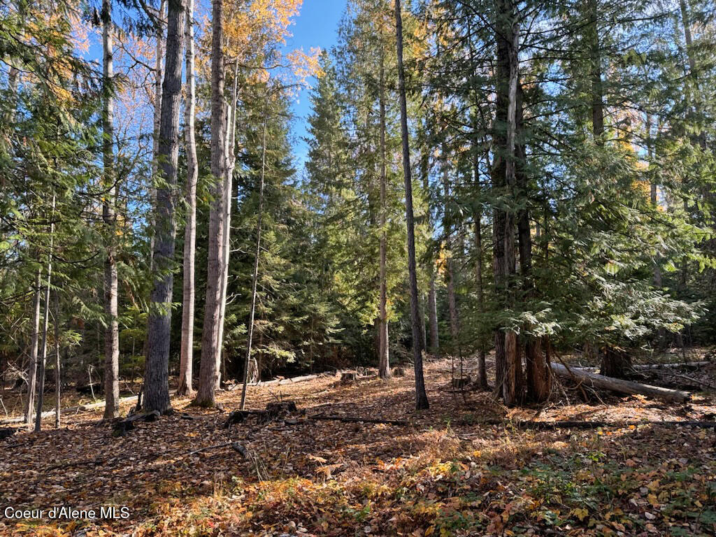 Nna Selkirk Road Sandpoint, ID 83864 - Photo 16 of 21 Lovely property