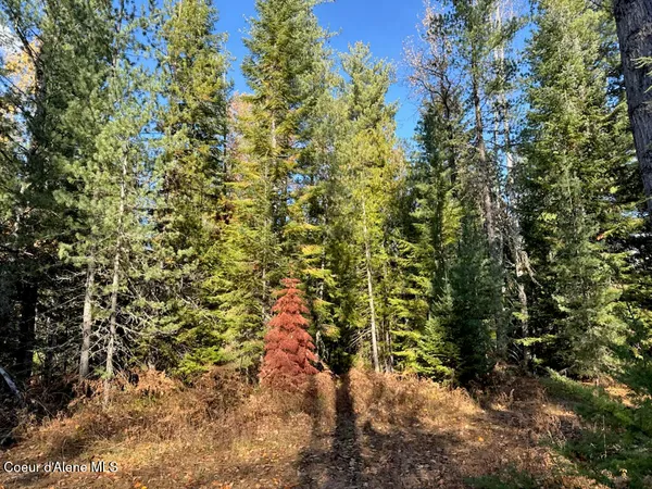 $425,000 | Nna Selkirk Road, Sandpoint, ID 83864