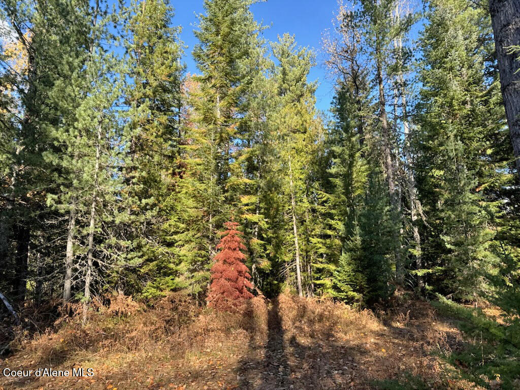 Nna Selkirk Road Sandpoint, ID 83864 - Photo 17 of 21 Year-round recreation!