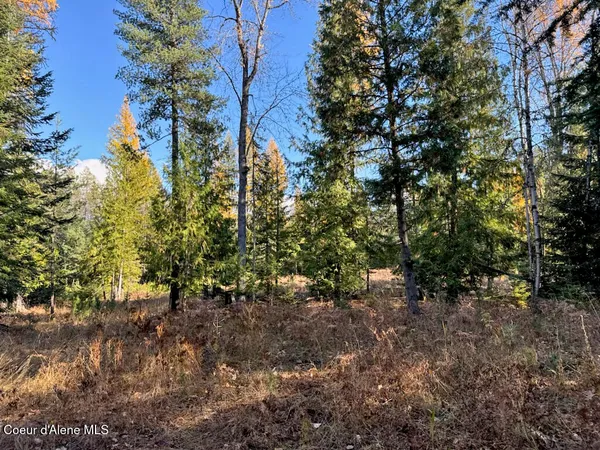 $425,000 | Nna Selkirk Road, Sandpoint, ID 83864