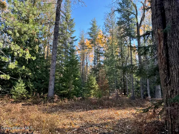 $425,000 | Nna Selkirk Road, Sandpoint, ID 83864