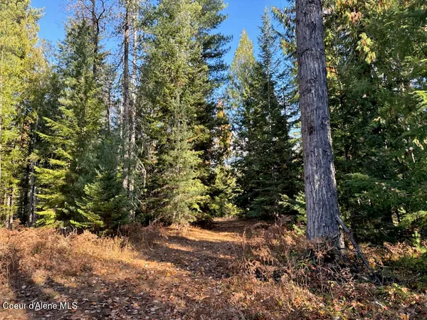 $425,000 | Nna Selkirk Road, Sandpoint, ID 83864