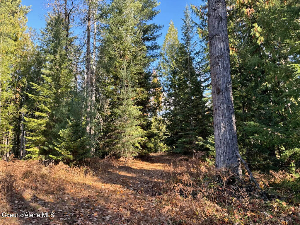Nna Selkirk Road Sandpoint, ID 83864 - Photo 6 of 21 Level 7.8 acres