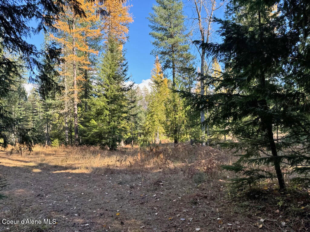 Nna Selkirk Road Sandpoint, ID 83864 - Photo 10 of 21 No CCR's