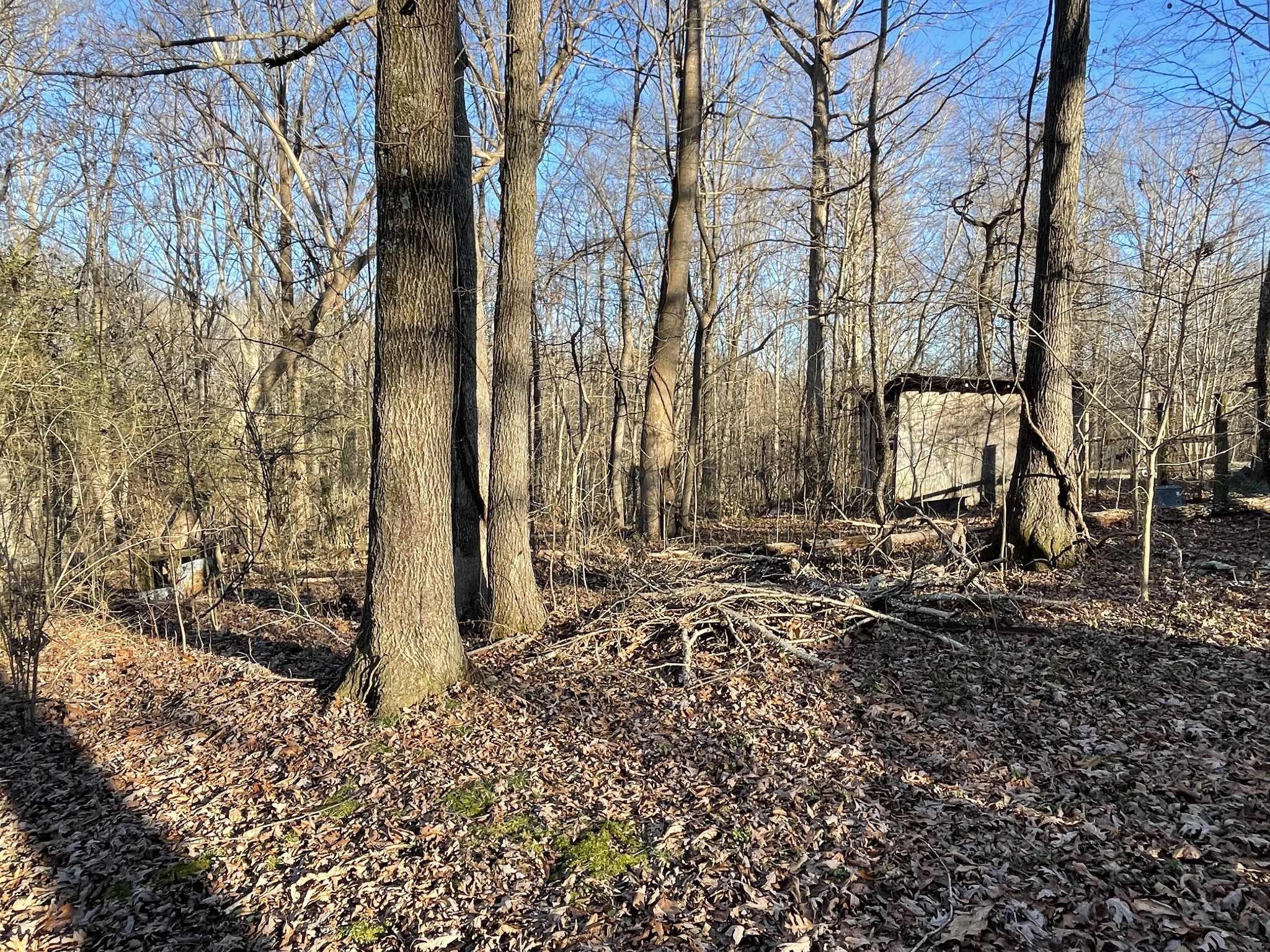 5963 Davis Hollow Road Franklin, TN 37064 - Photo 3 of 9 Gallery Image 3