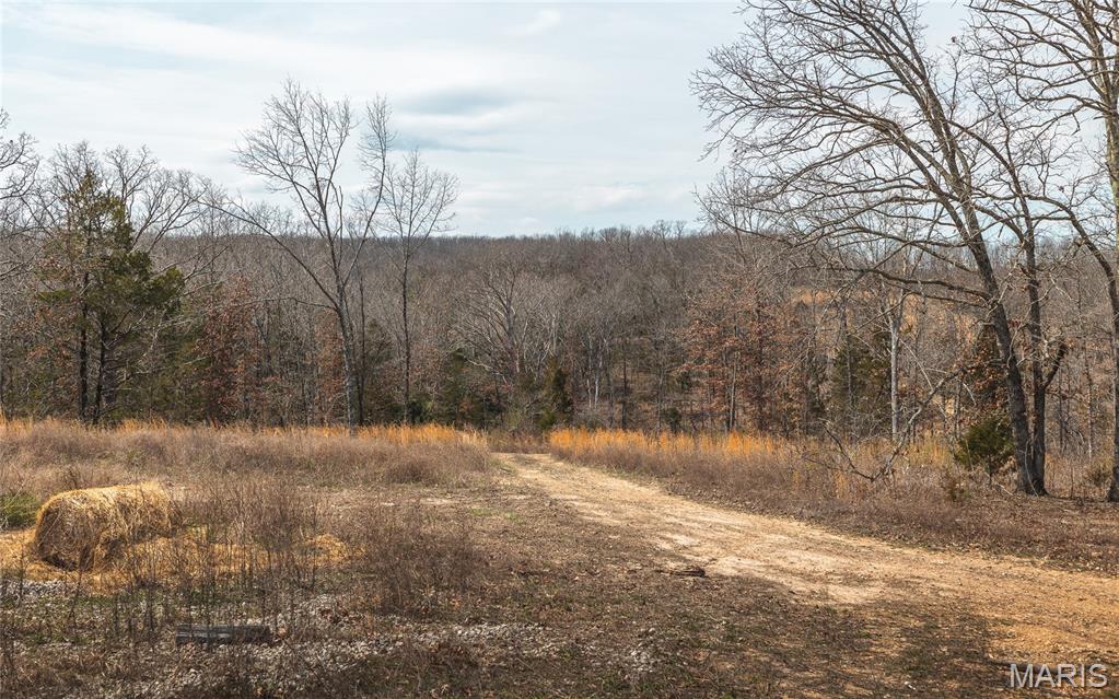 12855 Chicago Road Dixon, MO 65459 - Photo 7 of 29
