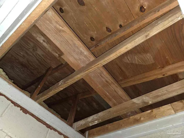 a view of outdoor space with trees all around