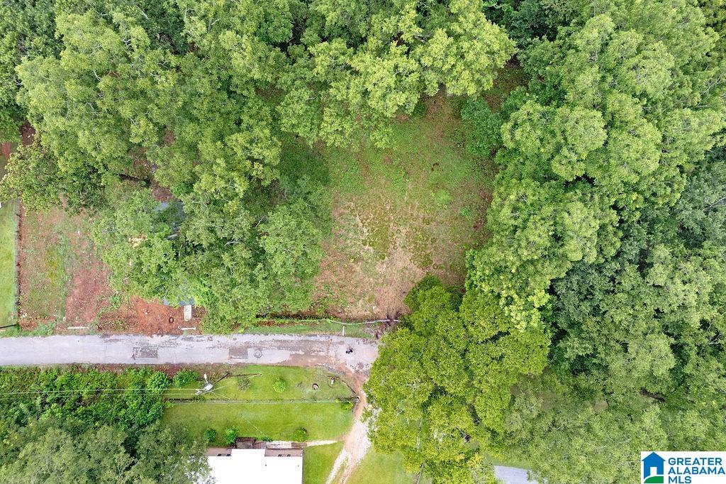 124 Commerce Street, Unit 1 Montevallo, AL 35115 - Photo 7 of 8