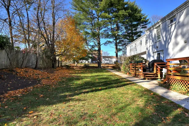 a view of a park with large trees