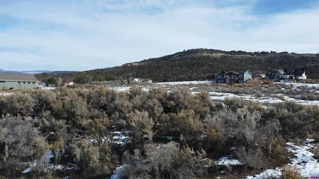 a view of a mountain in the distance in a field