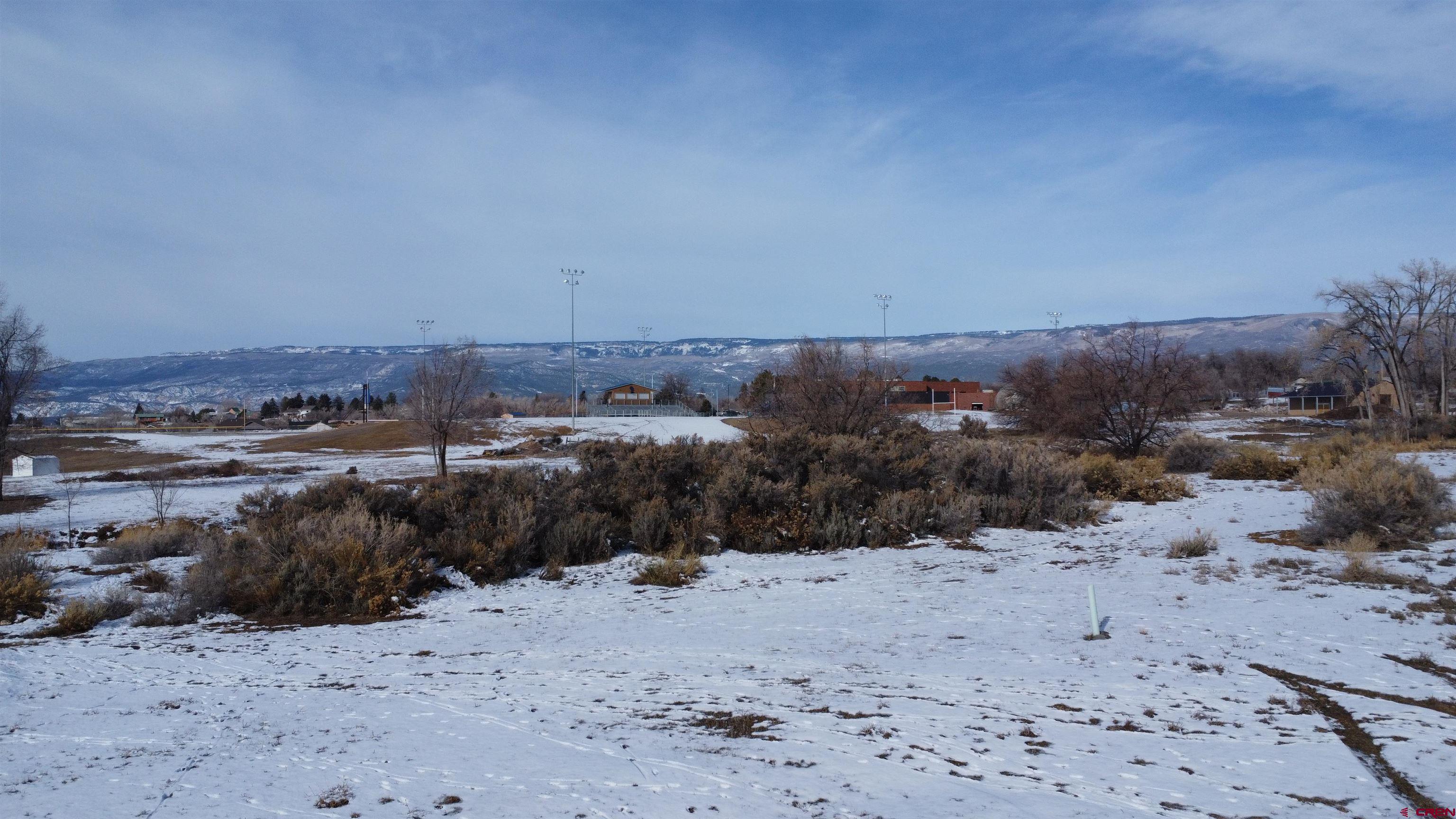 740 Southeast Pinyon Street Cedaredge, CO 81413 - Photo 3 of 5 a view of a dry yard with trees