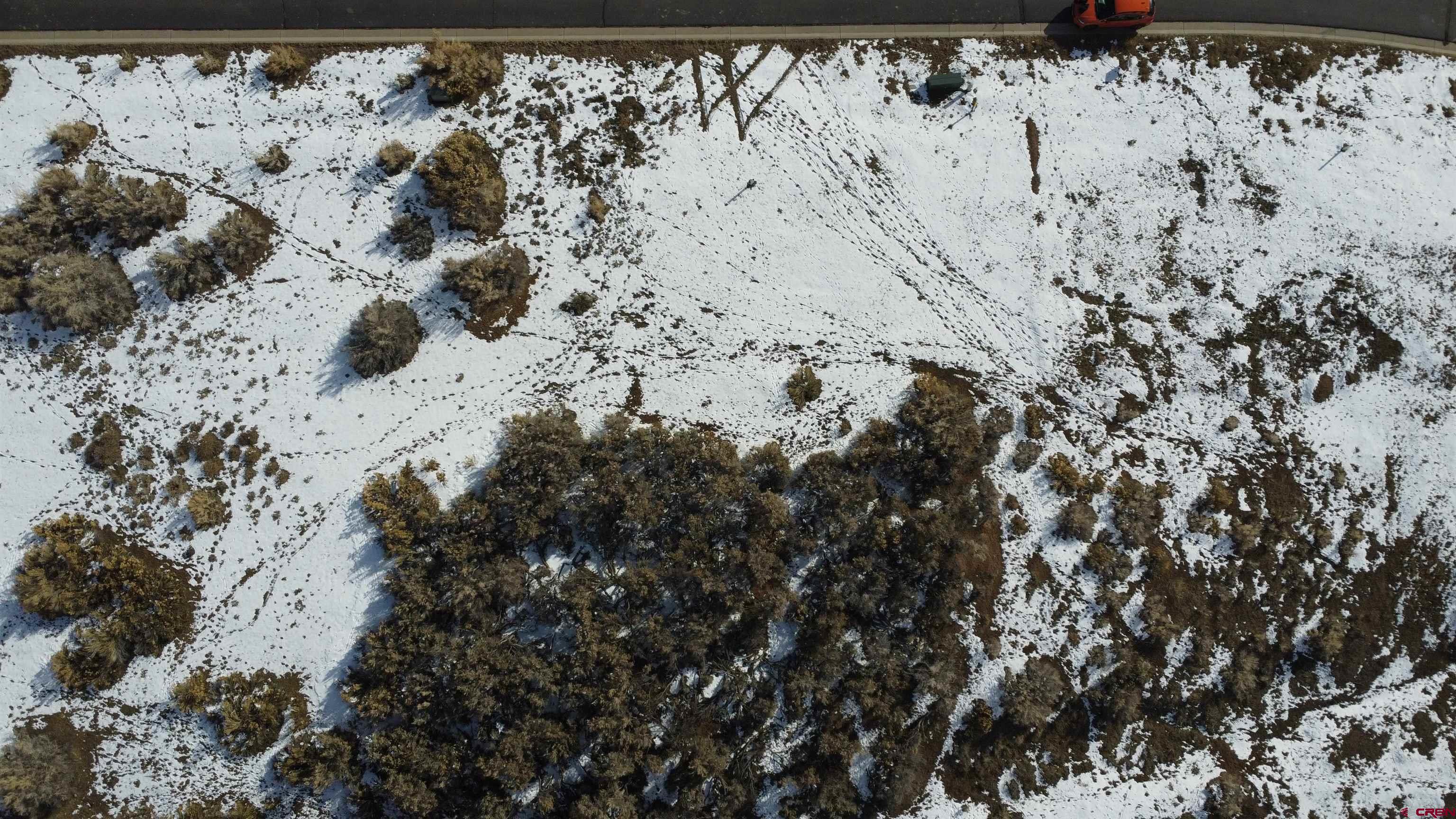 740 Southeast Pinyon Street Cedaredge, CO 81413 - Photo 5 of 5