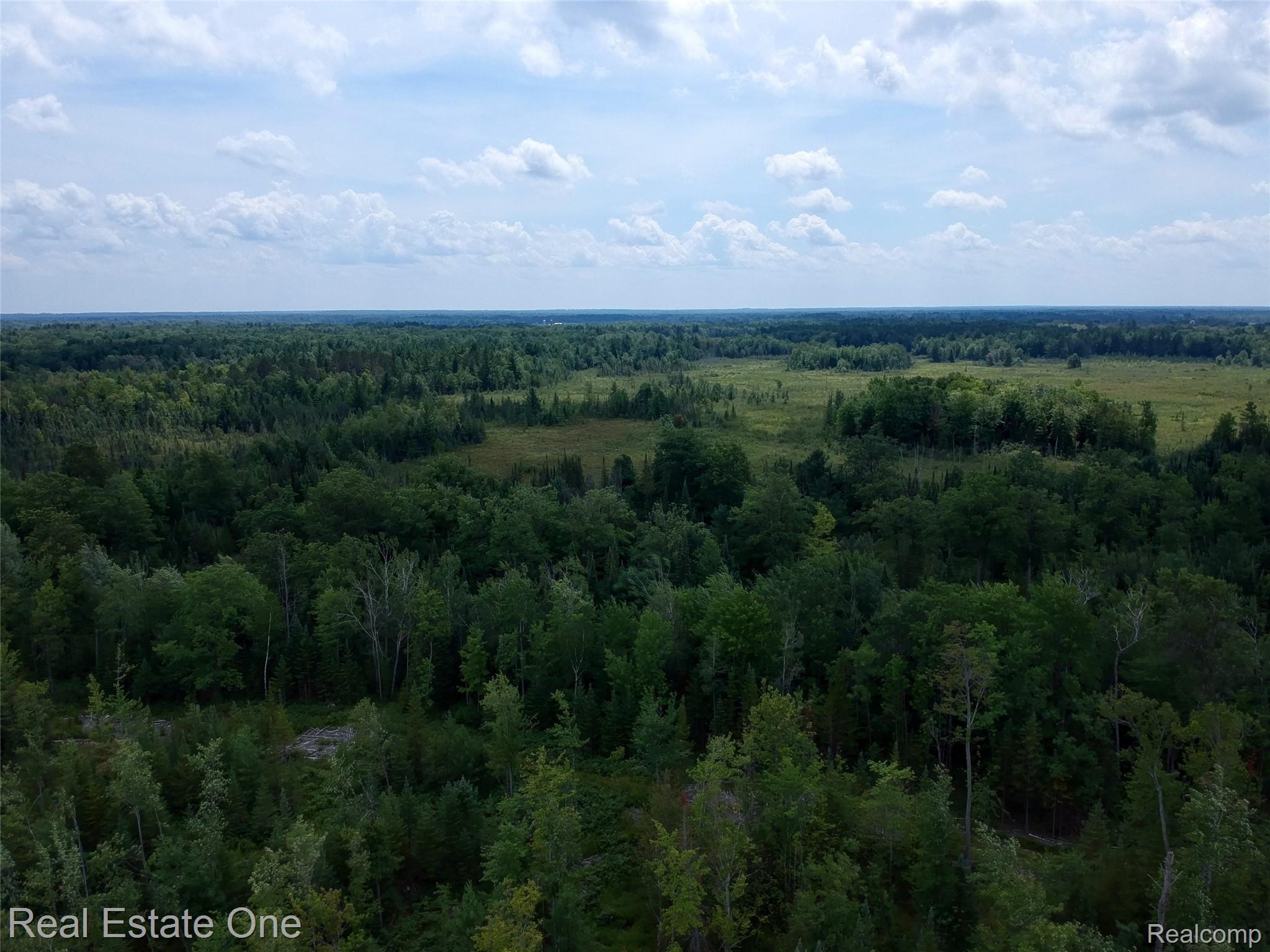 0 South Morrison Road Alger, MI 48610 - Photo 33 of 38 DJI-3539-40-41-MLS.jpg