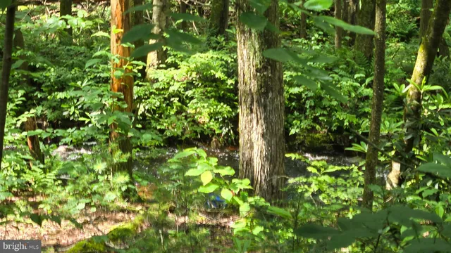 a backyard of a house with lots of plant