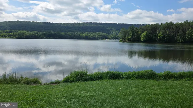 a view of a lake with a city