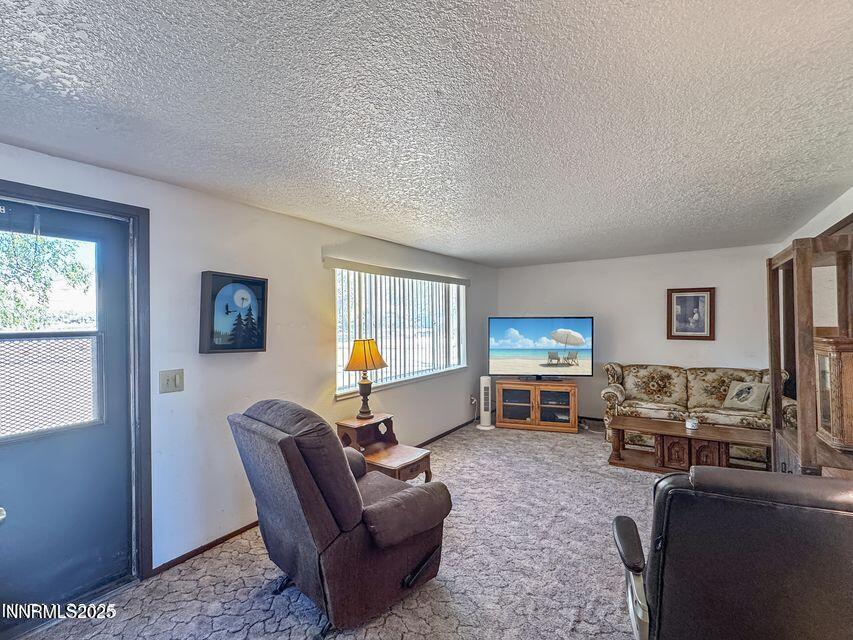 40 Basque Road Orovada, NV 89425 - Photo 10 of 16 a living room with furniture a window and a flat screen tv