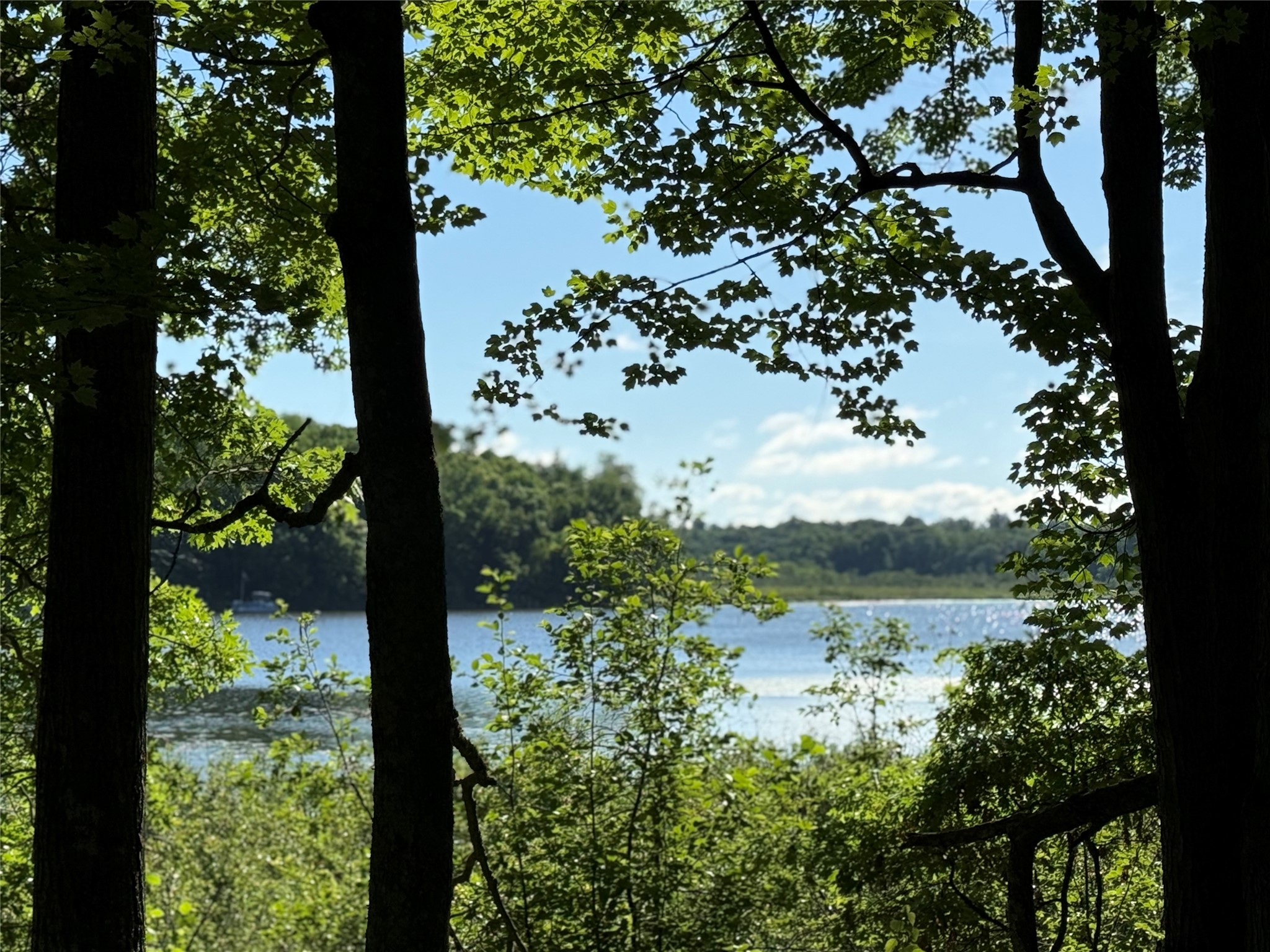 Xxx Sathre Lane Shell Lake, WI 54871 - Photo 13 of 36