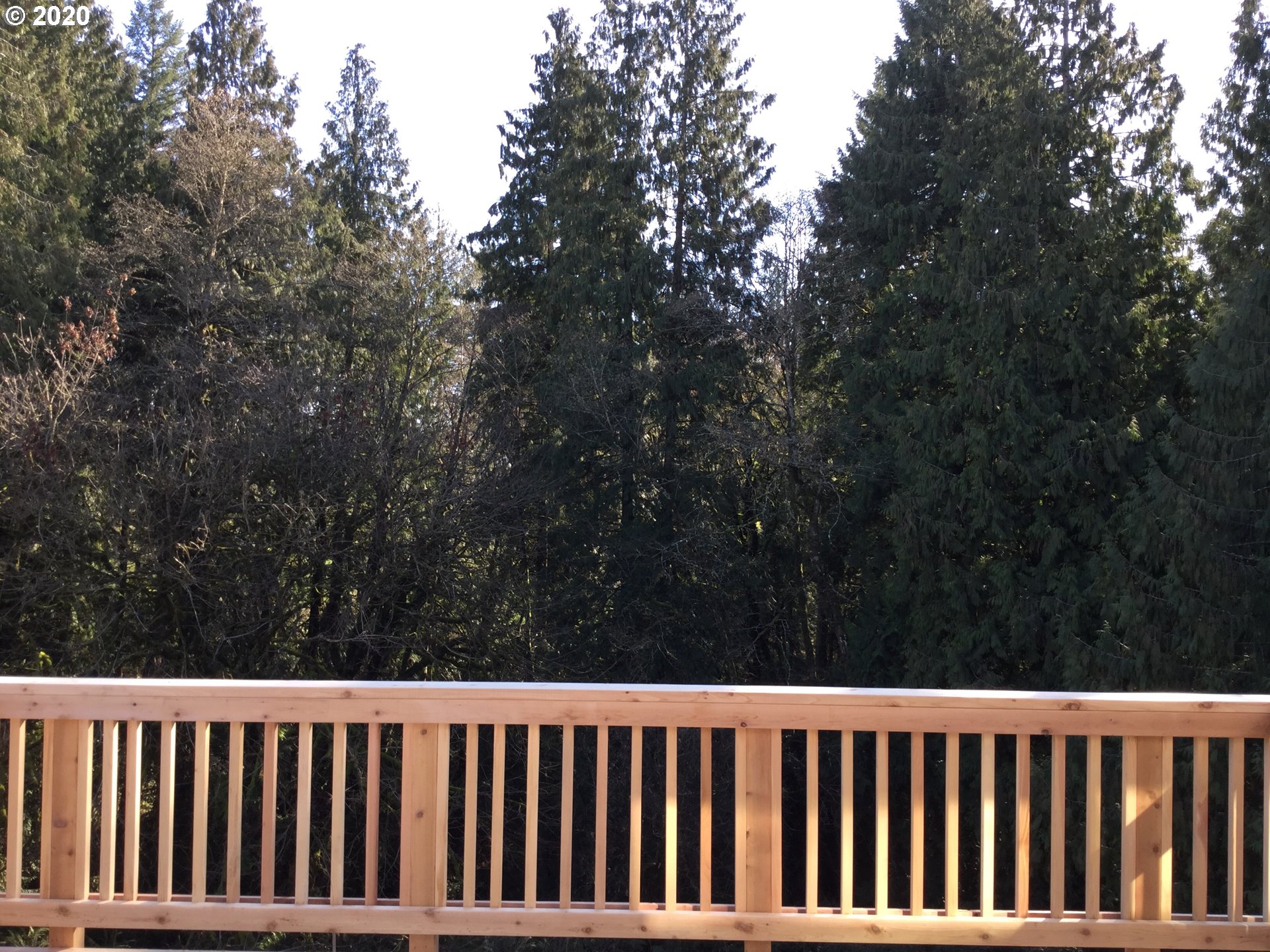 4833 South 19th Street Ridgefield, WA 98642 - Photo 29 of 30