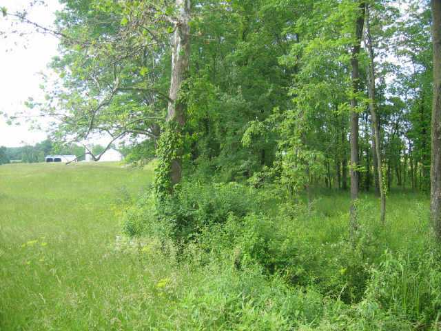 0 Corner Road, Unit LOT 8 Alexandria, OH 43001 - Photo 1 of 1