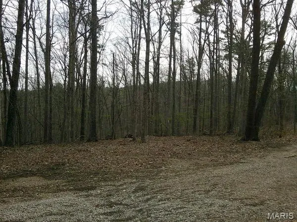 $119,000 | 0 West State Highway, Potosi, MO 63664