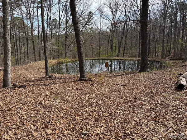 $154,995 | 0 West State Highway, Potosi, MO 63664